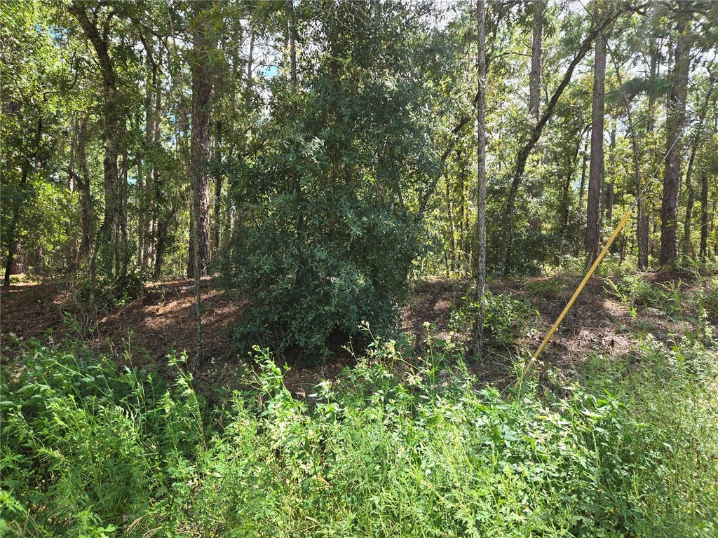 Photo of SW 76th Lane, Dunnellon, FL 34432 (MLS # OM731810)