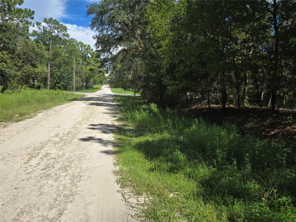 Photo of SW 76th Lane, Dunnellon, FL 34432 (MLS # OM731810)