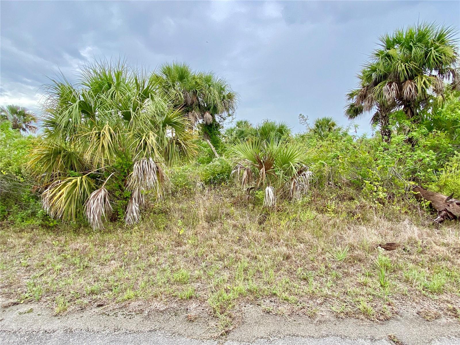 Great opportunity to buy this oversized lot and build your dream home in the charming city of North Port! Conveniently located close to restaurants, shopping, medical facilities, fishing, golfing, I-75, Fort Myers airport, and beautiful beaches.