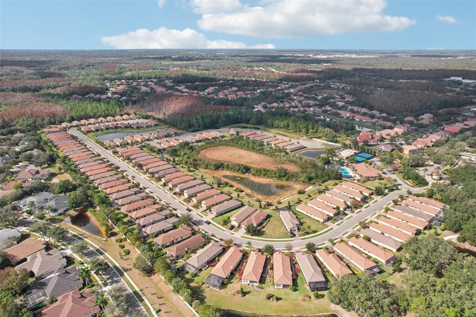 ESPLANADE OF TAMPA - Residential