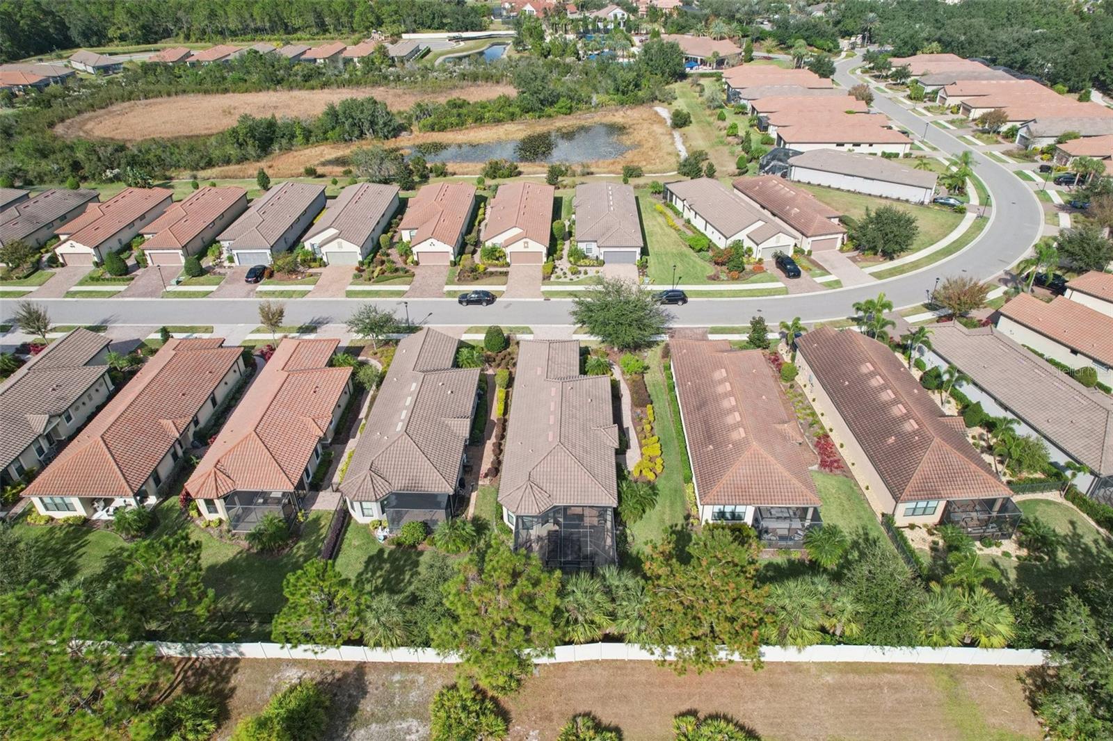 ESPLANADE OF TAMPA - Residential