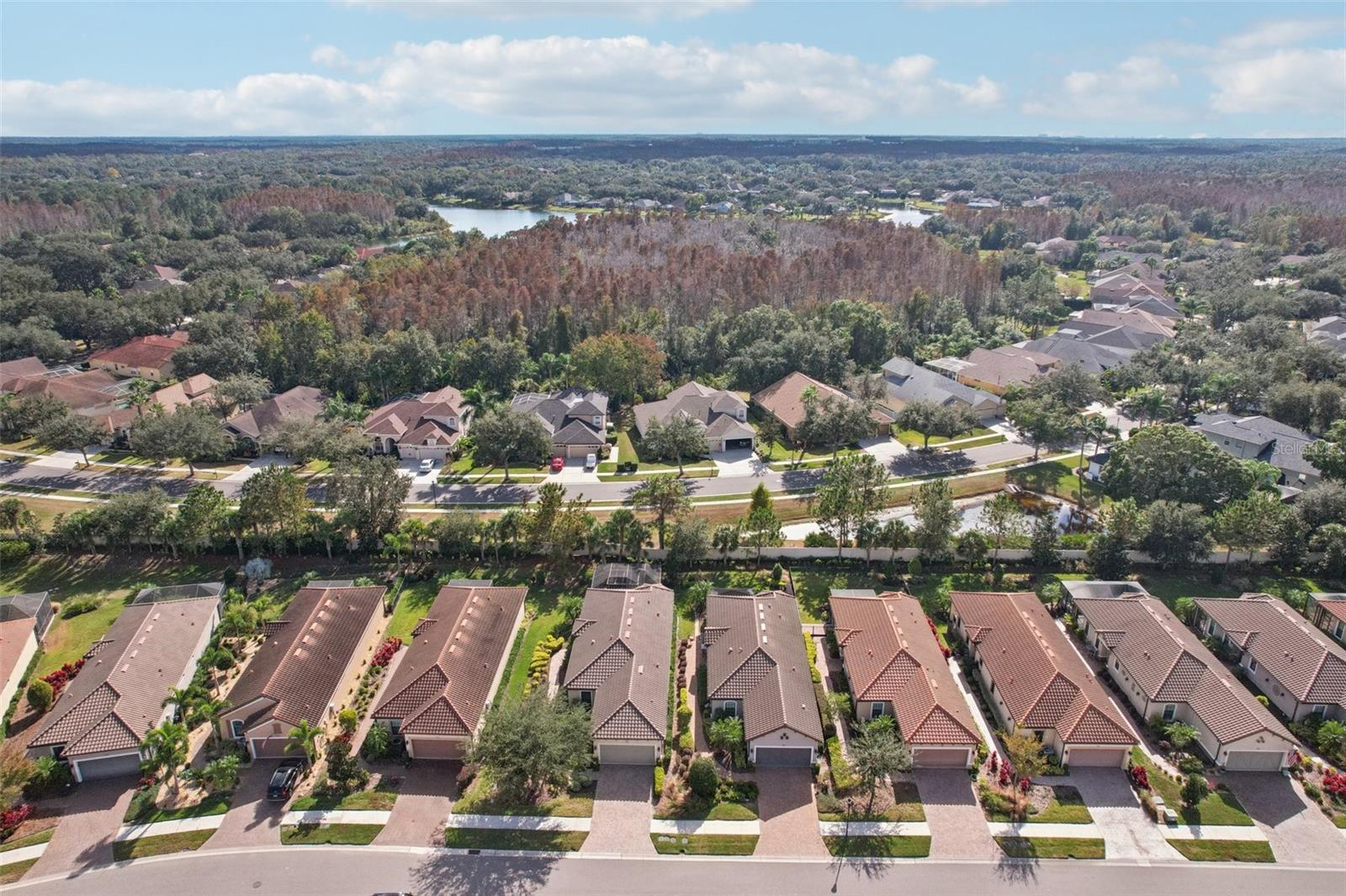 ESPLANADE OF TAMPA - Residential