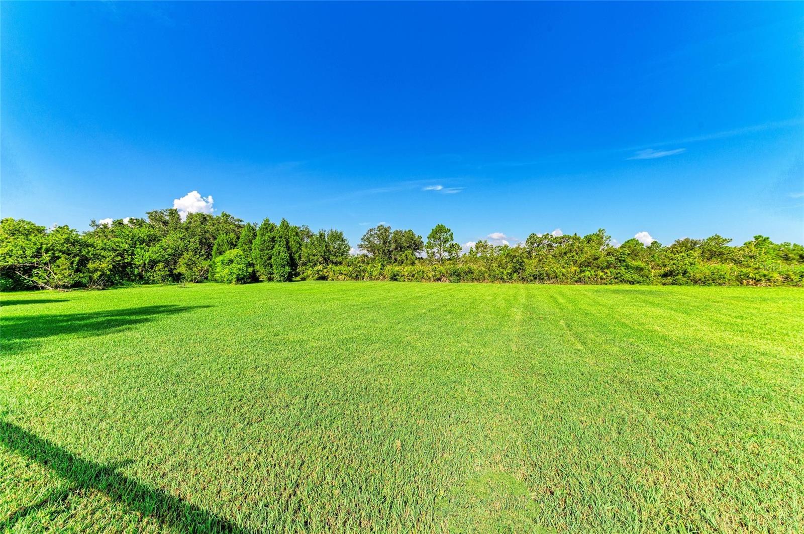 PRESERVE AT PANTHER RIDGE PH IV - Residential