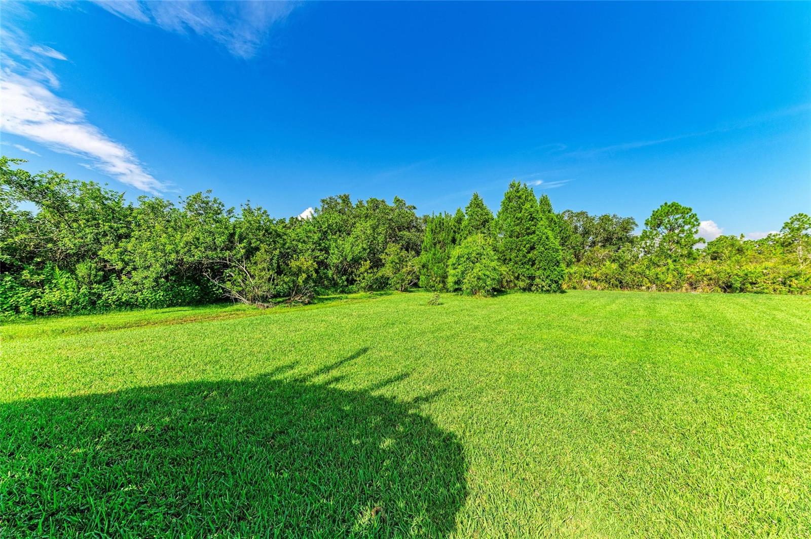 PRESERVE AT PANTHER RIDGE PH IV - Residential