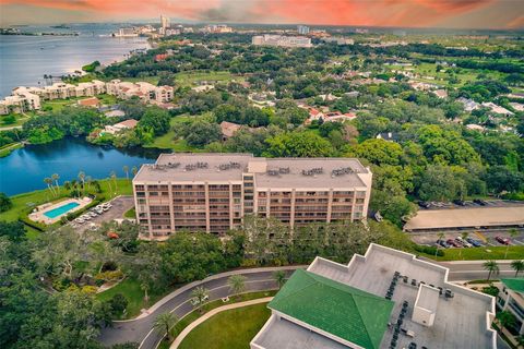 220 BELLEVIEW BOULEVARD 811 BELLEAIR FL 33756
