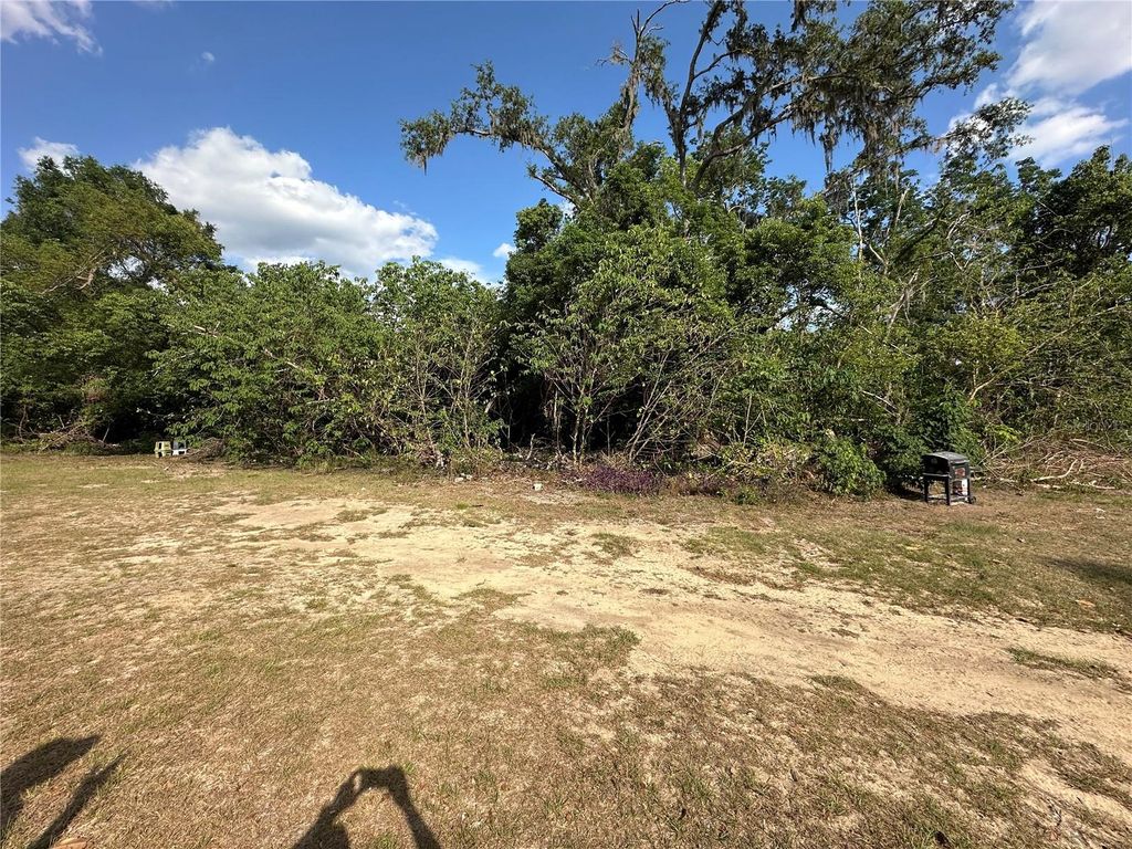 Photo of 0 Sheila Lynn Court, Dade City, FL 33525 (MLS # TB8378152)