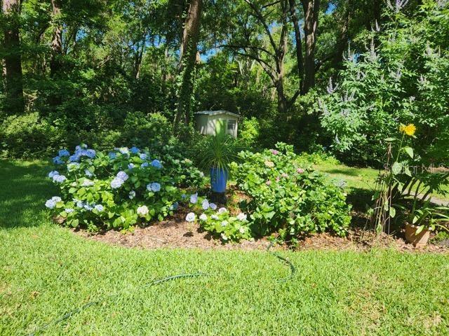 BEVILLE HEIGHTS - Residential