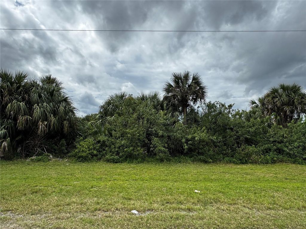 Photo of 1940 Madden Ave SW, Palm Bay, FL 32908 (MLS # S5121301)