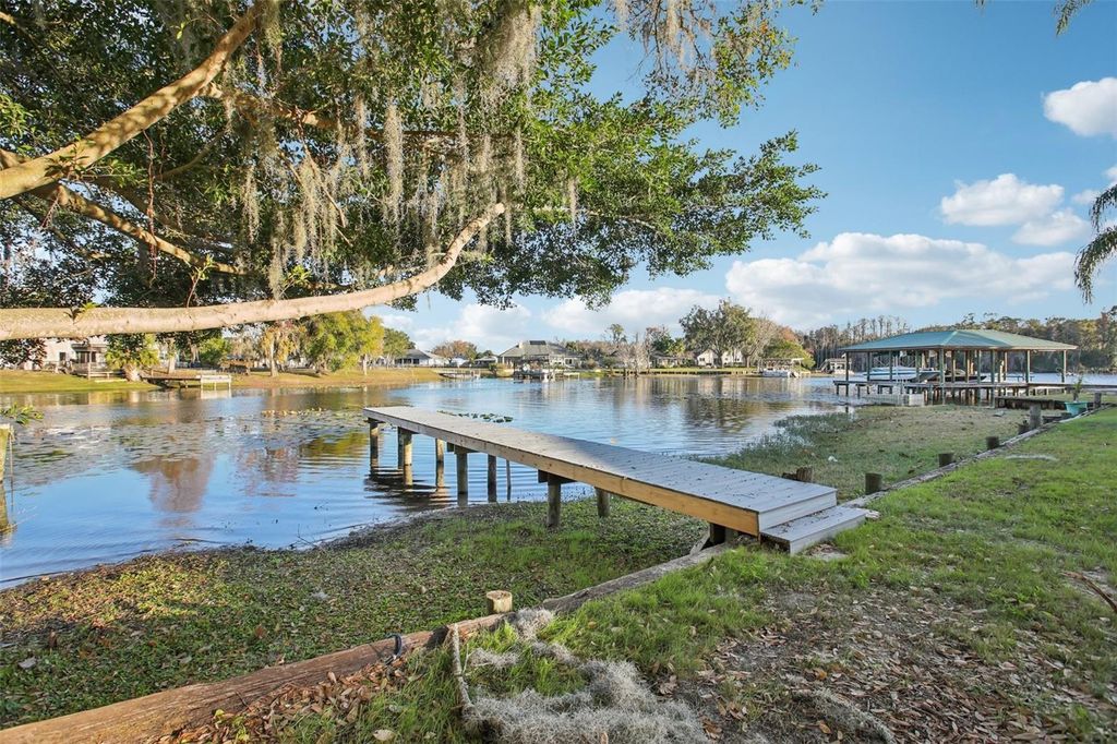 Photo of 3120 Pine Shadow Drive, Land O Lakes, FL 34639 (MLS # TB8461318)