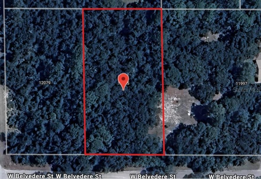 *** Owner Financing Available *** Buildable lot with the new Suncoast Expwy approximately one and a half miles away (when finished)