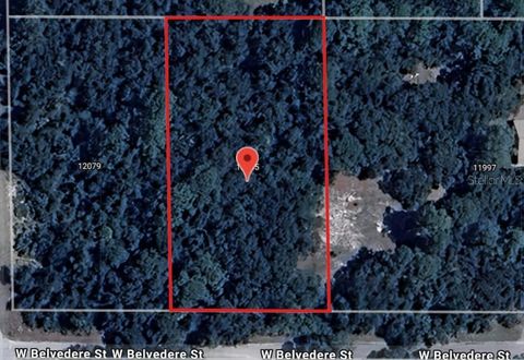 12045 W BELVEDERE STREET CRYSTAL RIVER FL 34428