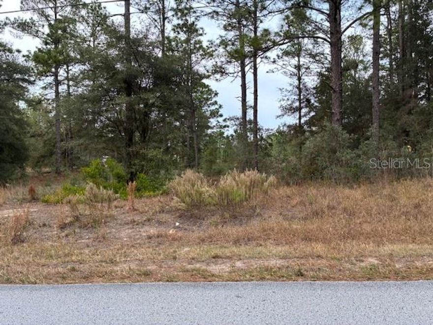 Build your dream home on this pristine vacant residential lot — a rare offering with NO HOA, NO HOA fees, and frontage on a paved road. This property provides a clean, unrestricted canvas for your ideal home, vacation retreat, or investment opportunity.
Fully accessible via public paved road, the lot offers easy ingress and egress, connecting you to local infrastructure and services. The parcel is located in a quiet, low-density neighborhood, yet remains conveniently close to shopping, schools, and community amenities.
Whether you’re looking to build a year-round residence or seasonal getaway, this lot delivers flexibility — with no restrictions from covenants or HOA rules. Survey available. Don’t miss this chance to own an affordable piece of land with maximum freedom and accessibility.