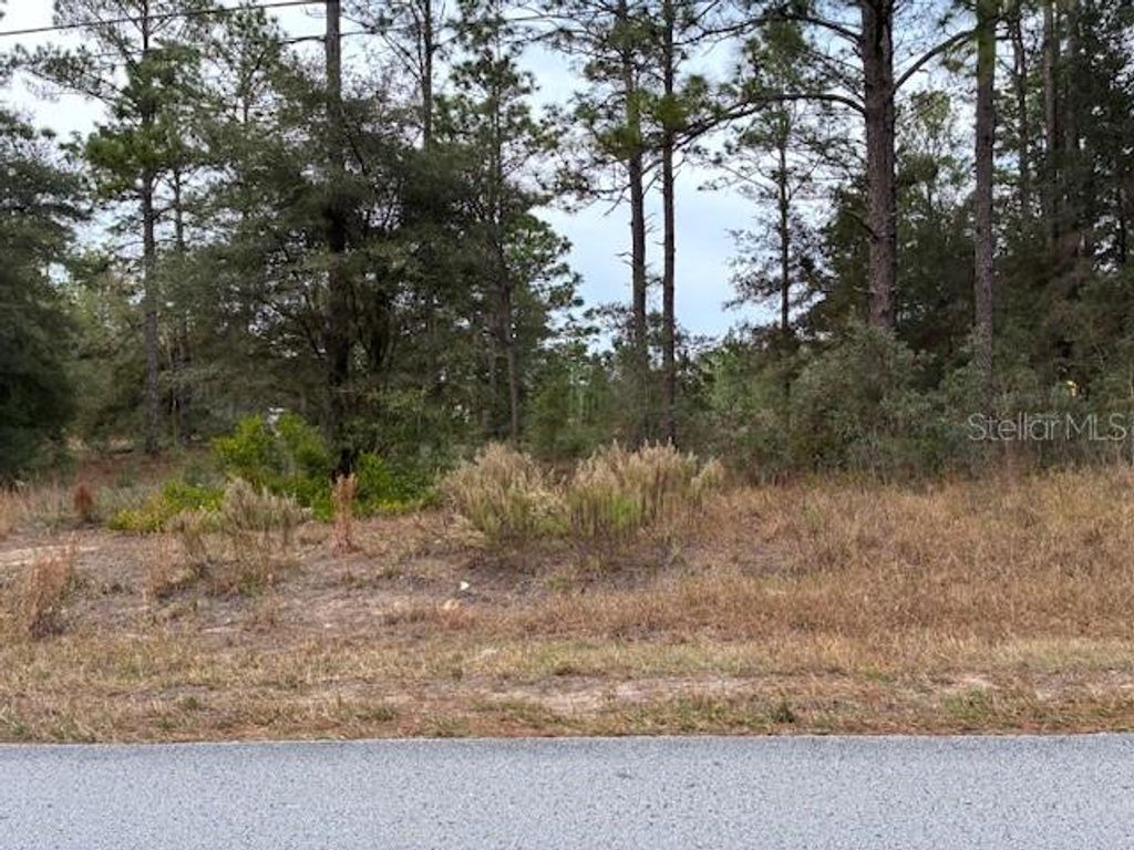 Photo of 0 SW Audubon Avenue, Dunnellon, FL 34431 (MLS # OM714578)