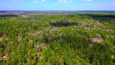 Tiny photo for 7137 W Sunmar Sample Lane, Dunnellon, FL 34433 (MLS # TB8381410)