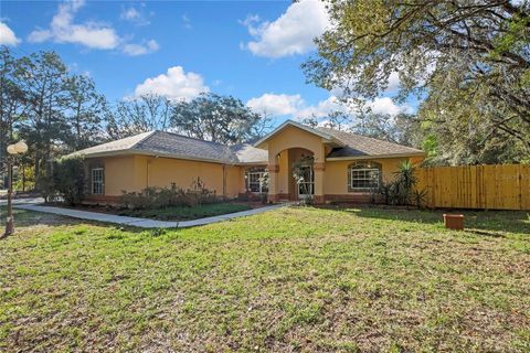 Photo of 340 E Savoy Street, Lecanto, FL 34461 (MLS # G5109133)