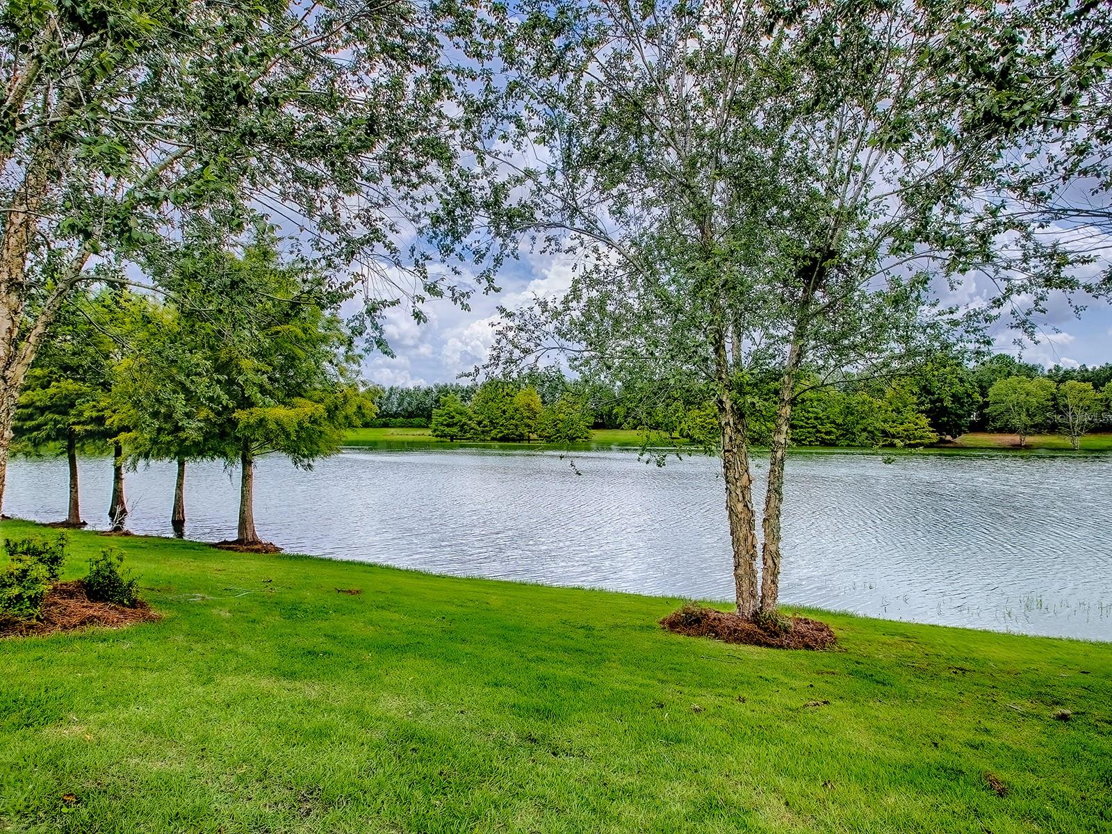2602 MONTCLAIR LANE