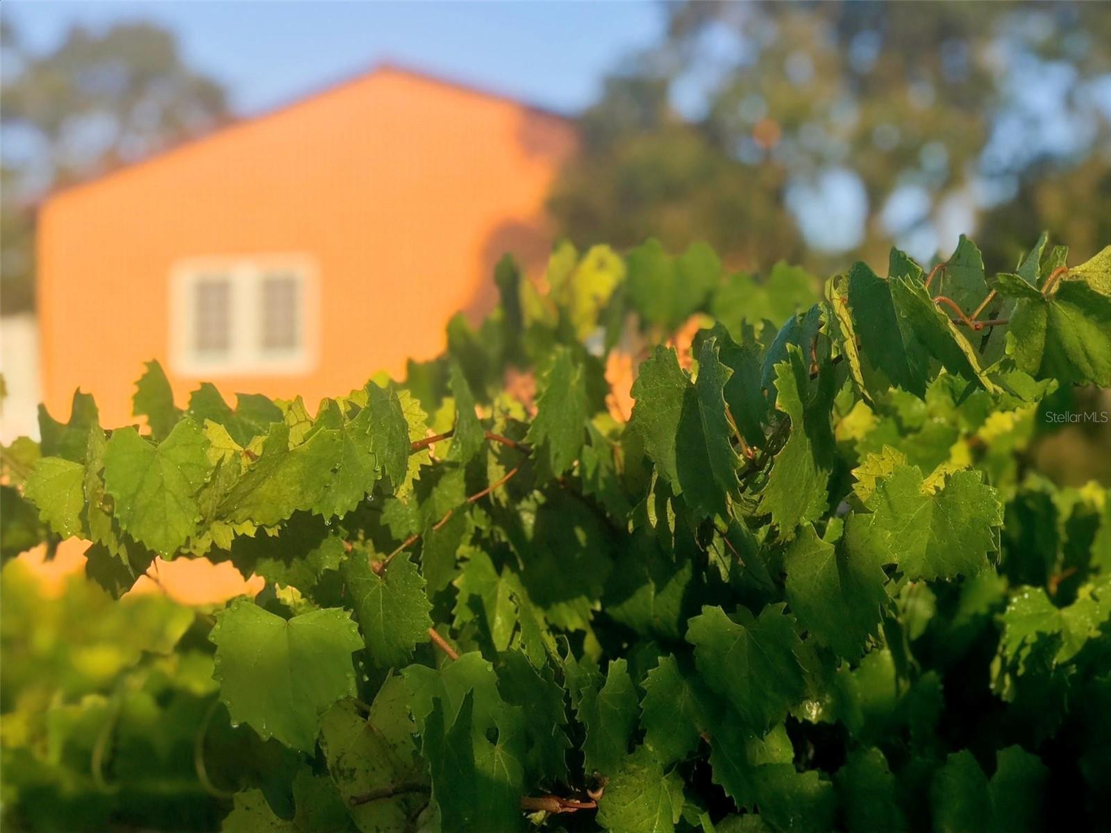 NOT APPLICABLE - Residential