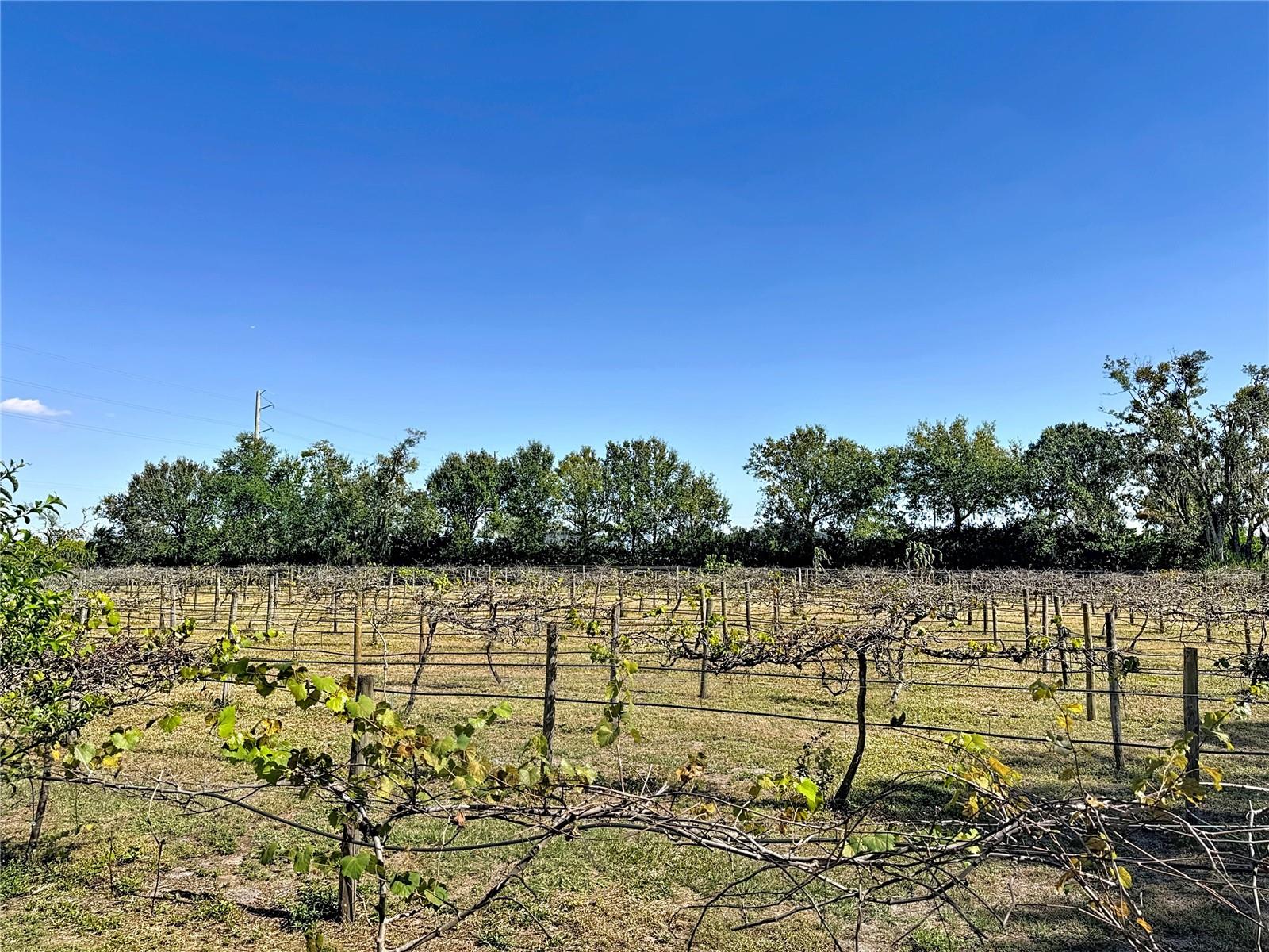 NOT APPLICABLE - Residential