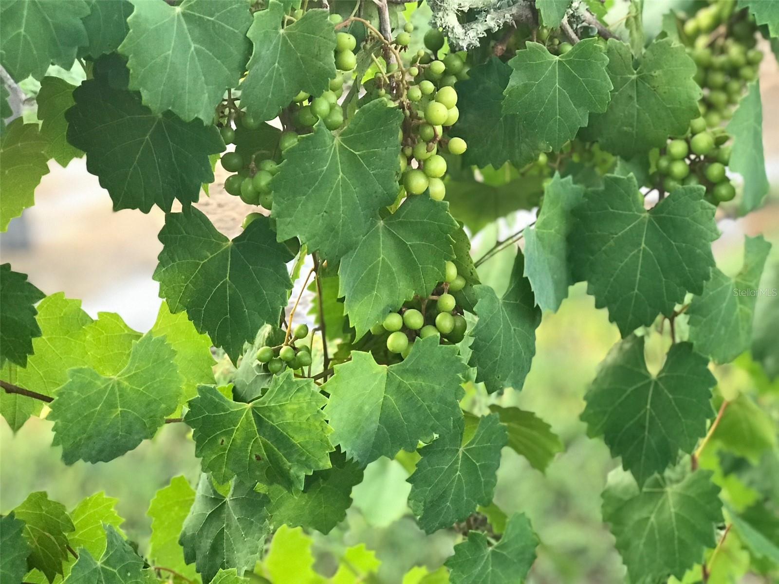 NOT APPLICABLE - Residential