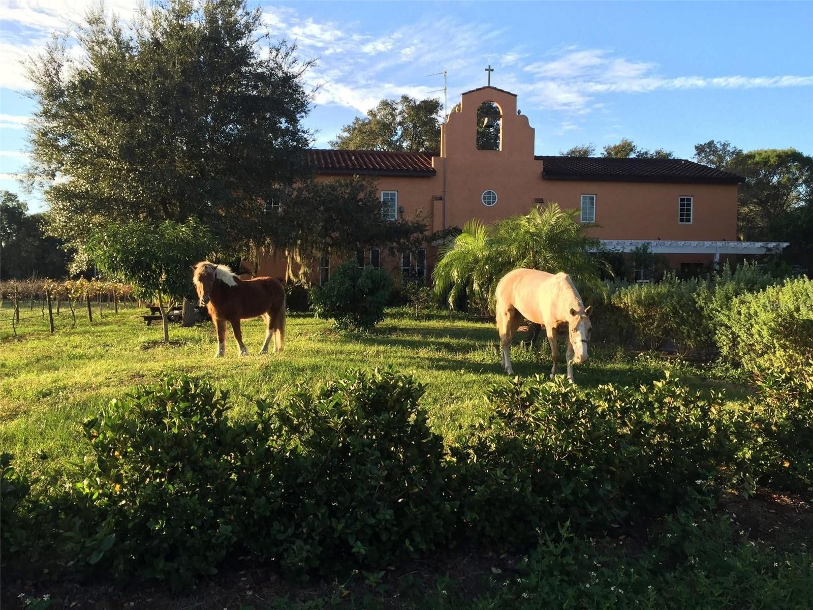 19600 E STATE ROAD 64