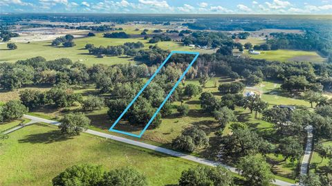 TRACT 1 - CR 221 WILDWOOD FL 34785