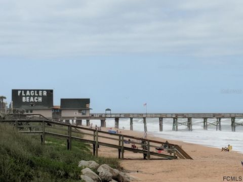 A home in PALM COAST