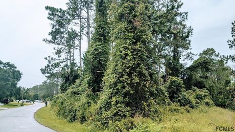 A home in PALM COAST