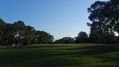 A home in PALM COAST