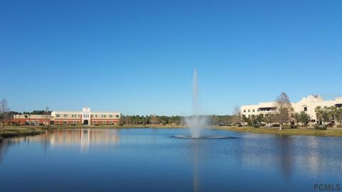 A home in PALM COAST