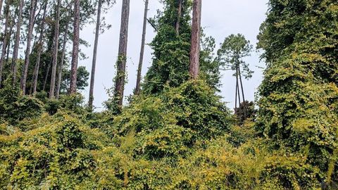 A home in PALM COAST