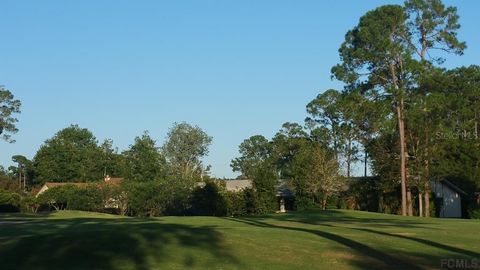 A home in PALM COAST