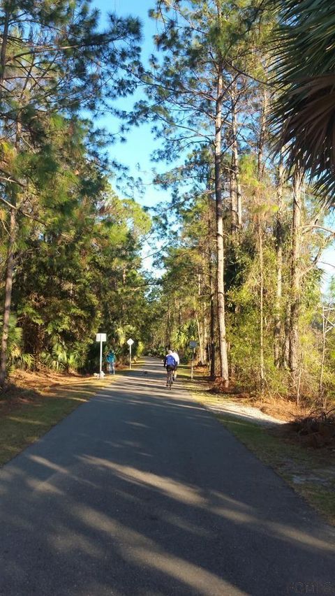 A home in PALM COAST