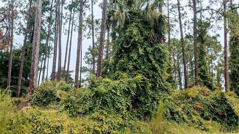 A home in PALM COAST