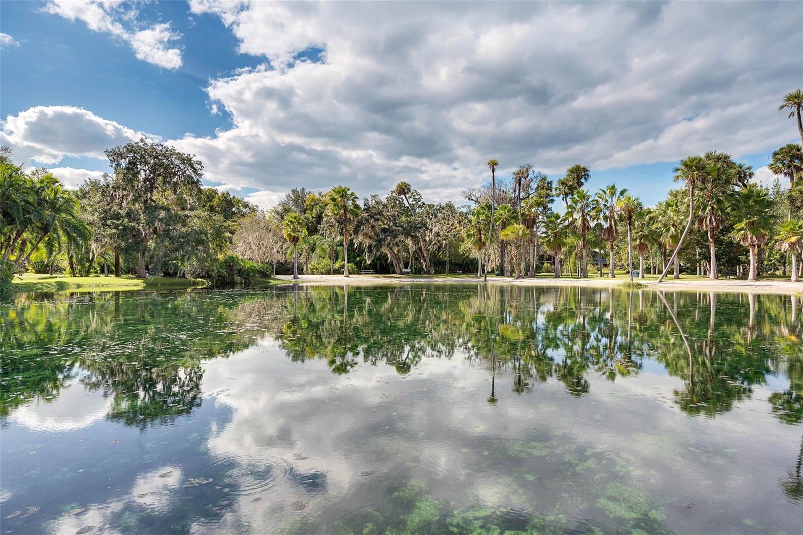 SPRINGS THE - Residential