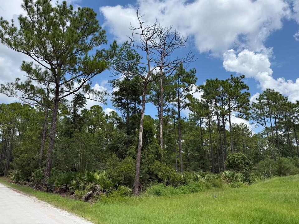 Photo of Unassigned East Parkway, Deland, FL 32724 (MLS # TB8543633)