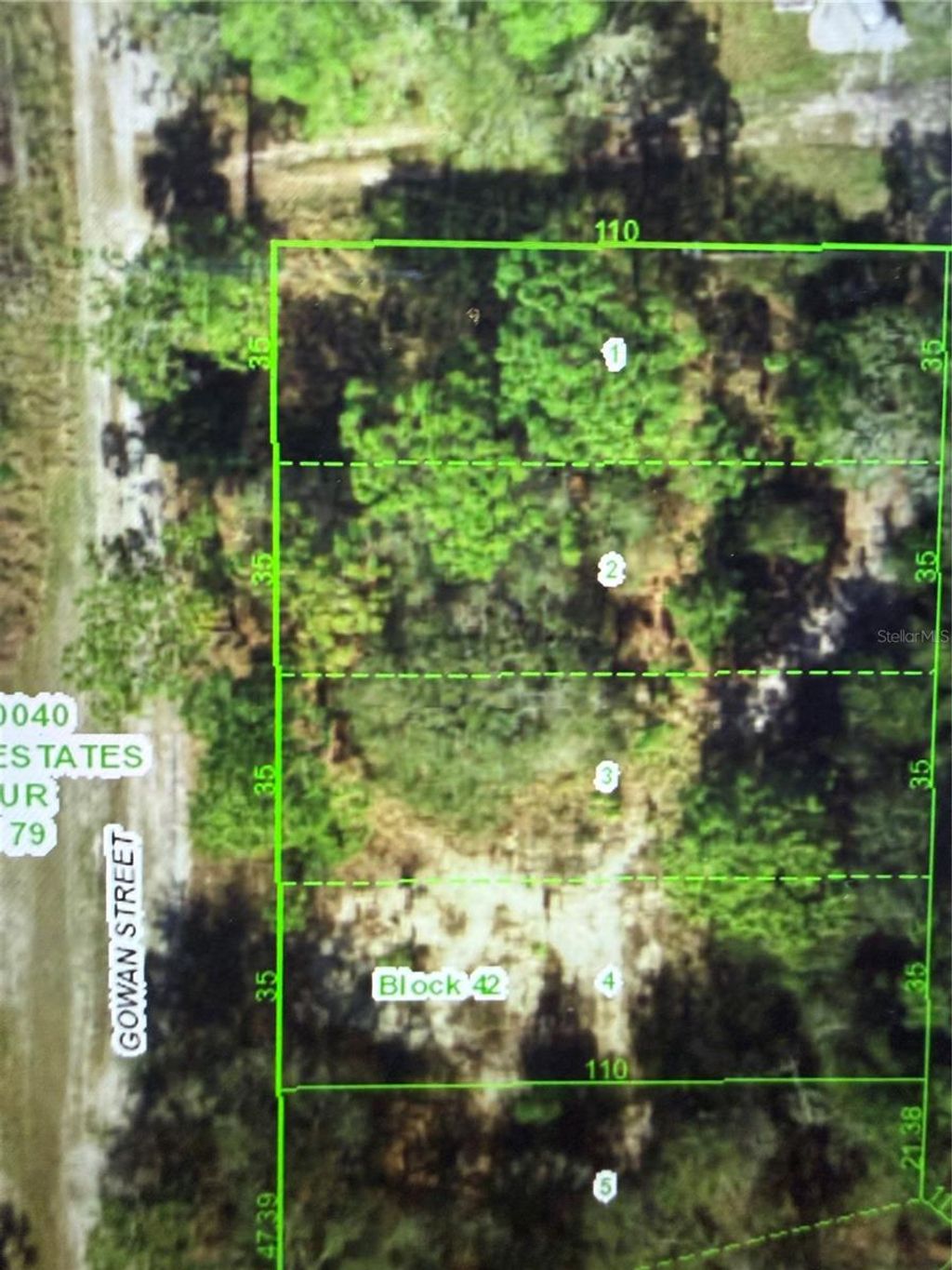 Photo of 11142 Gowan Street, New Port Richey, FL 34654 (MLS # W7887688)