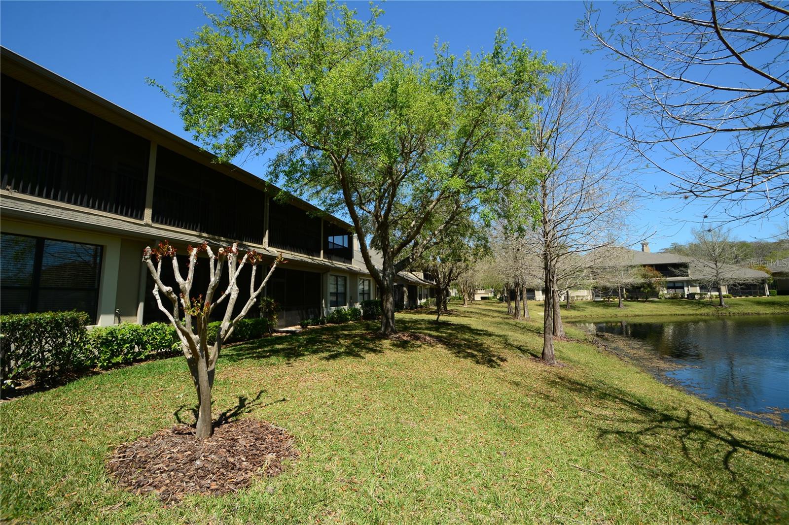 PLANTATION BAY - Residential Lease