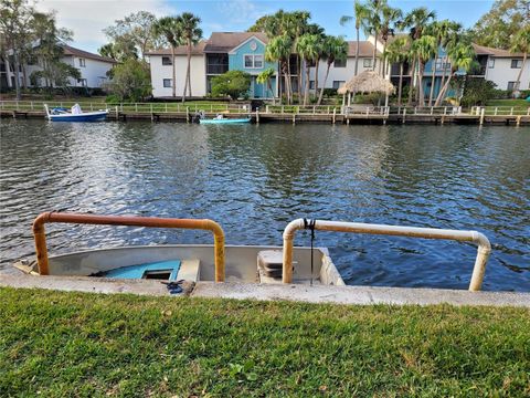 A home in TAMPA