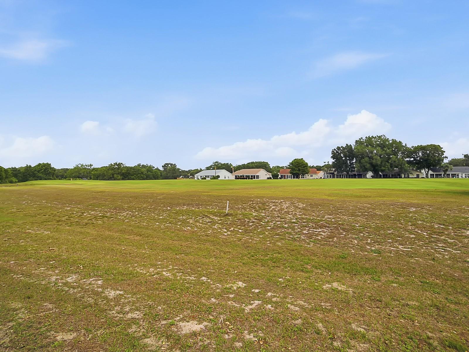 PLANTATION AT LEESBURG - Residential