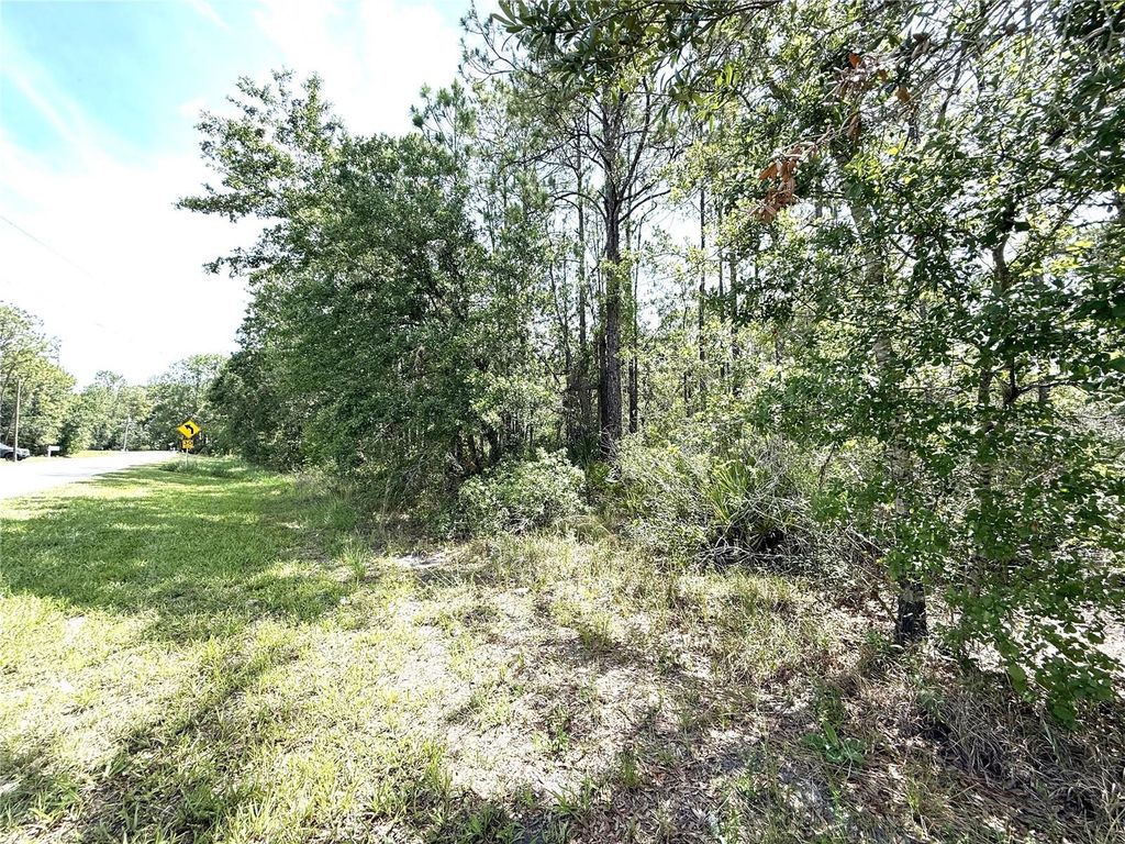 Photo of 0 Lake Caloosa Landing, Frostproof, FL 33843 (MLS # K4903572)