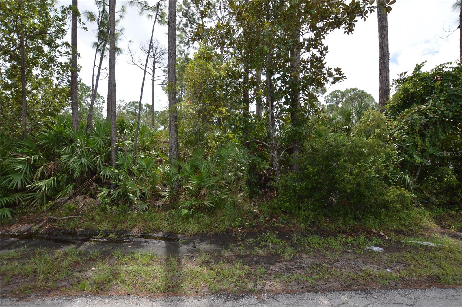 Gorgeous Duplex lot located on a cul-de-sac in Cypress Knoll. Great location minutes to the Town Center, Government Center, Publix, Walgreens, Target, etc. Don't lose this one!