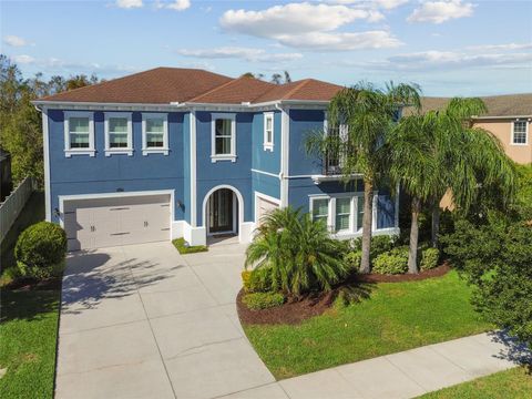 4383 ORTONA LANE WESLEY CHAPEL FL 33543