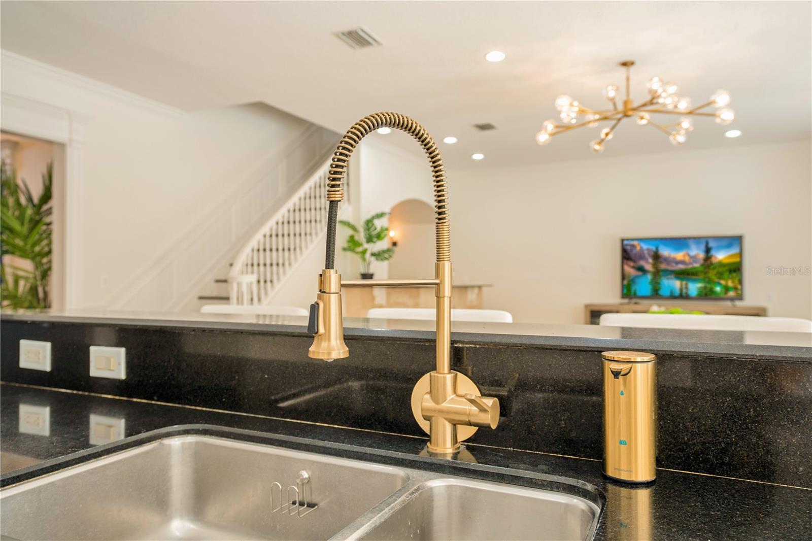 WATERS EDGE BOCA POINTE AT TURTLE CREEK - Residential