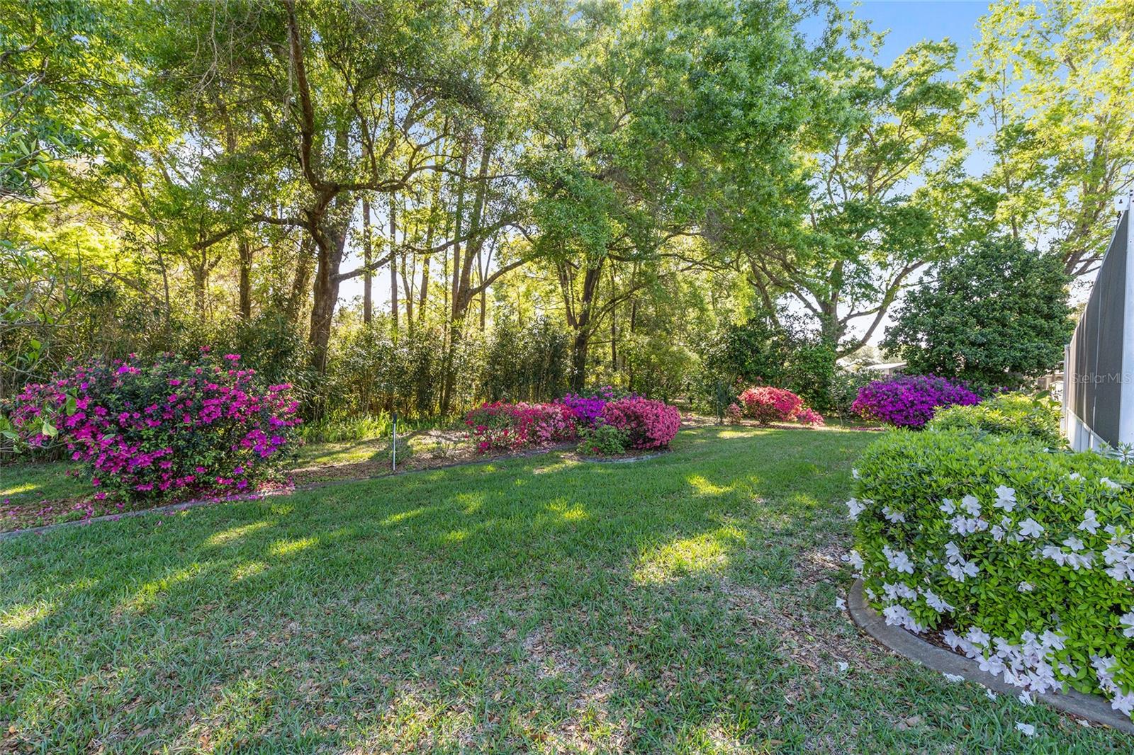 RAINBOW SPGS 5TH REP - Residential