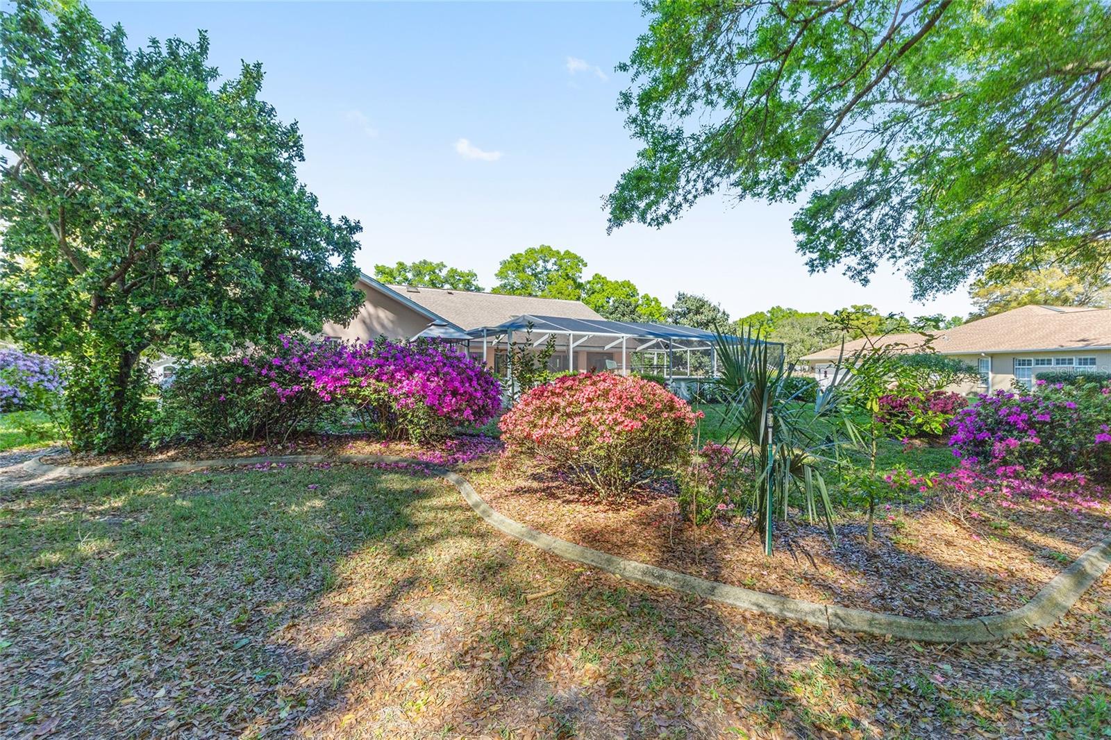 RAINBOW SPGS 5TH REP - Residential