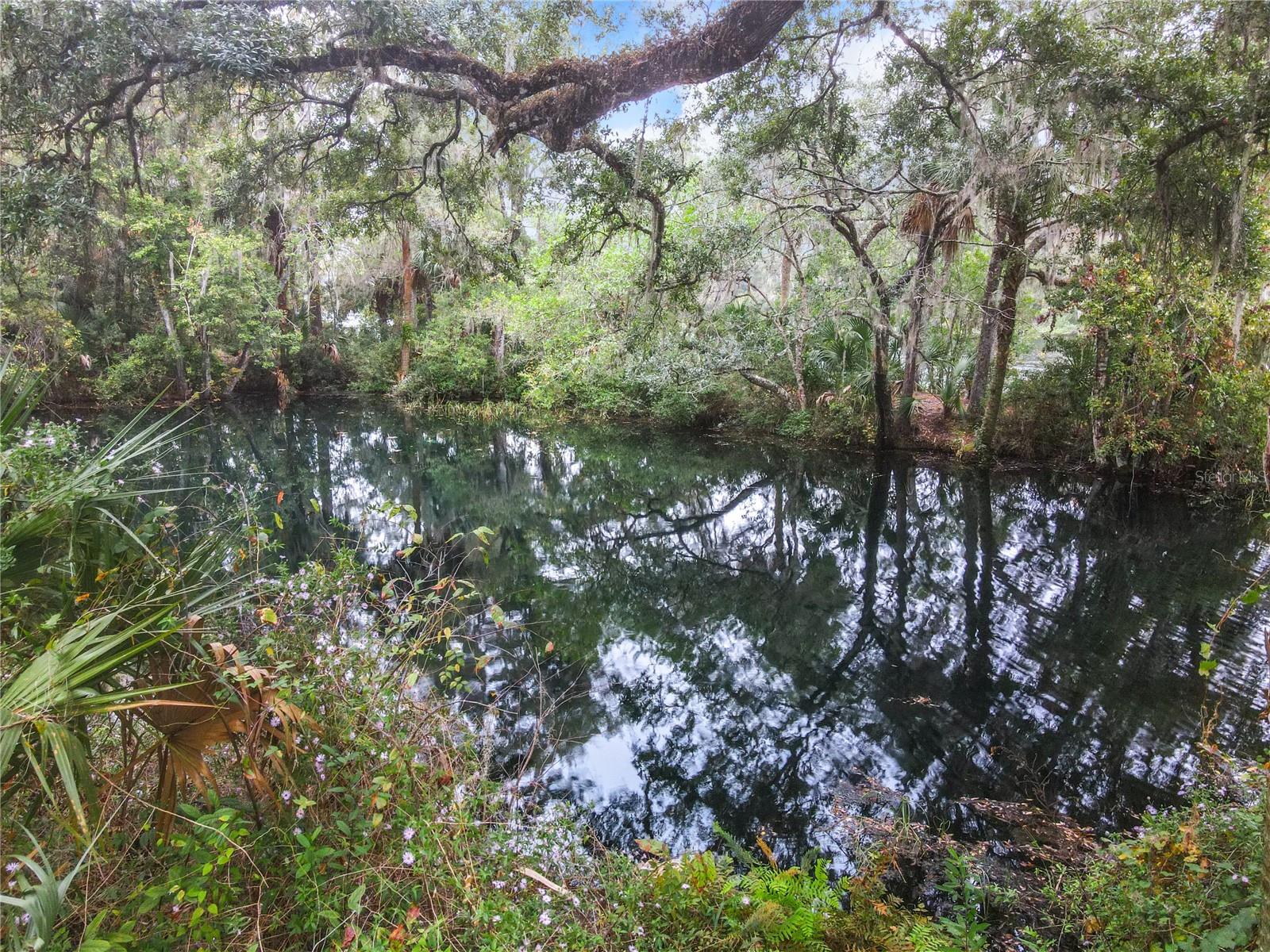 RAINBOW SPGS 5TH REP - Residential