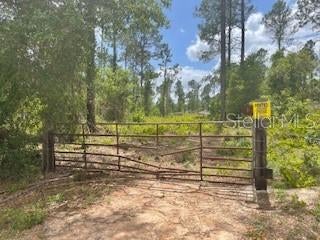 Tiny photo for S Obrien Road, Groveland, FL 34736 (MLS # G5056733)