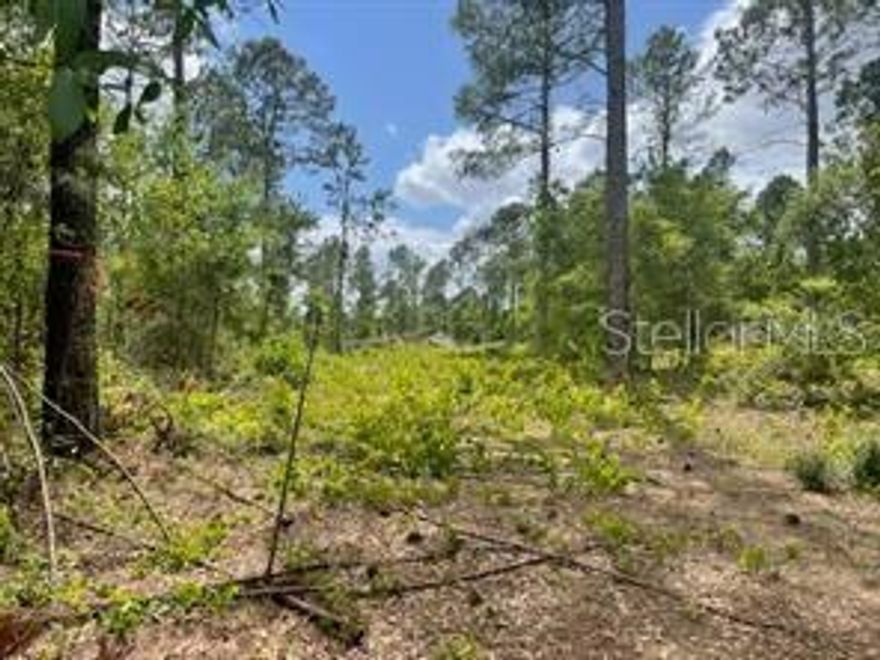 9.32 acres on Indianhouse Lake. This tract has 243 feet of lake frontage and 282 feet on S. Obrien Rd.  Great fishing lake  No HOA.  Covenient to Clermont, Groveland, Hwy. 27, turnpike, airport, Disney, Universal. The additional alternate key is 2759682.