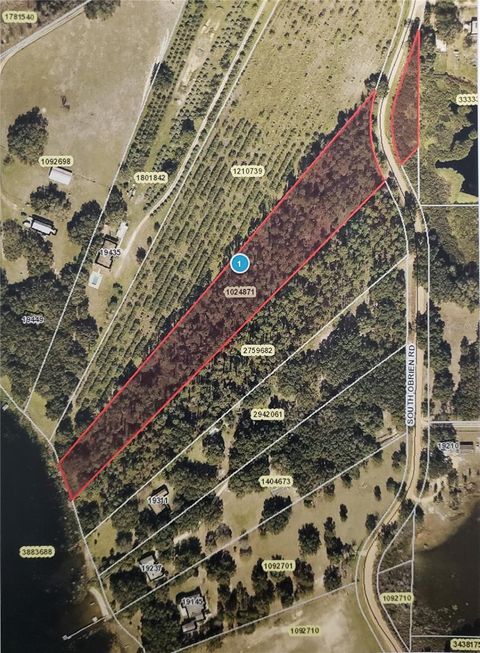 Tiny photo for S Obrien Road, Groveland, FL 34736 (MLS # G5056733)