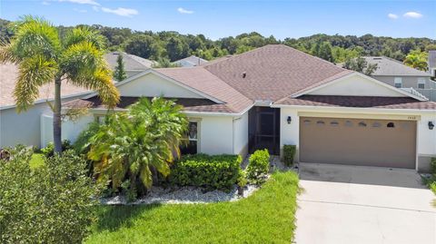 A home in KISSIMMEE